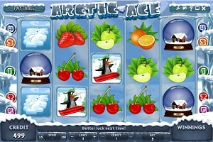 arctic ace
