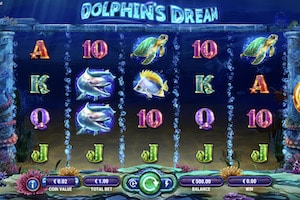 dolphins dream