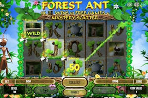Forest Ant