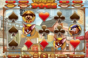 fortune dogs