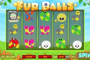 fur balls