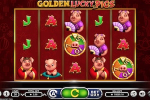 golden lucky pigs