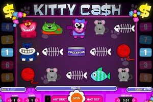 kitty cash