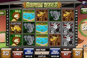 safari reels