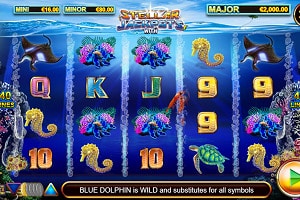 stellar jackpots with dolphin gold