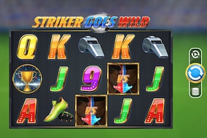 striker goes wild