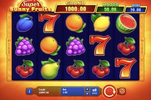 Super Sunny Fruits : Hold And Win