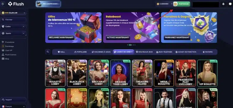 Flush Casino : Notre avis en tant que joueur 11 flush casino dépôt