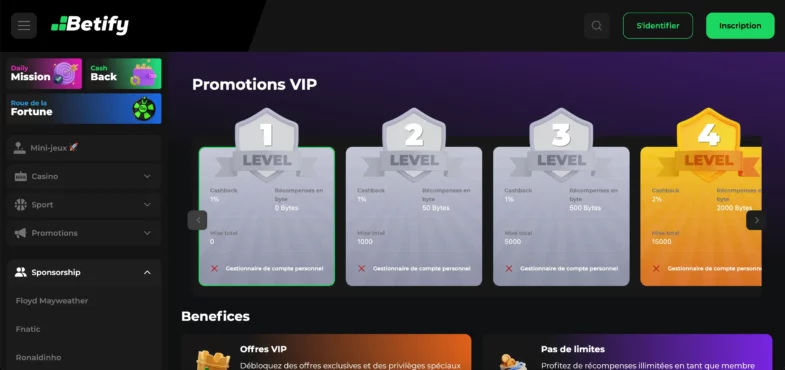 casino programme VIP