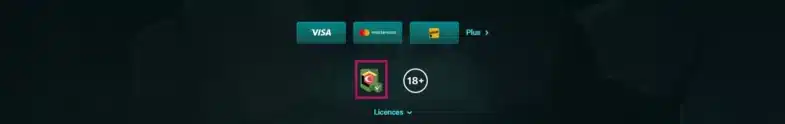 Playio Casino : Notre avis en tant que joueur 28 Icone Anjouan Gaming pour vérifier la licence