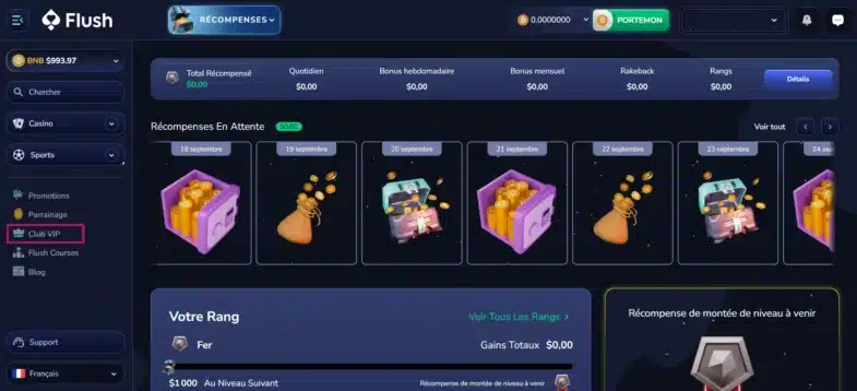 Flush Casino : Notre avis en tant que joueur 5 le programme vip
