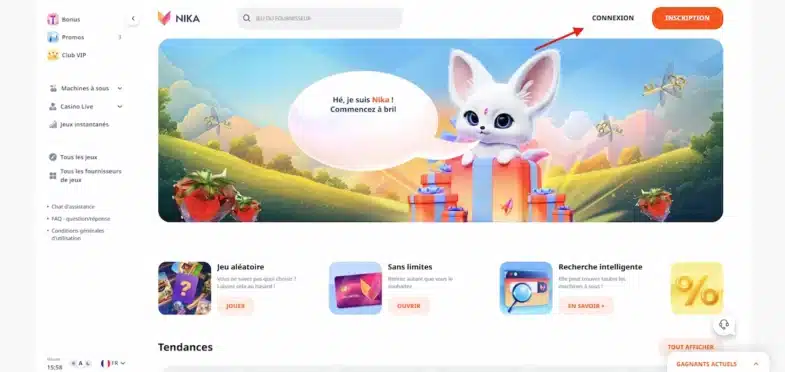 Connexion compte joueur Nika Casino