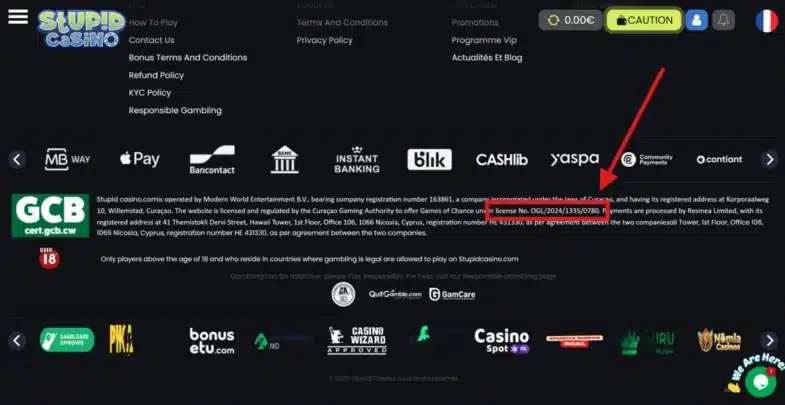 Stupid Casino : Notre avis en tant que joueurs 17 licence de stupid casino