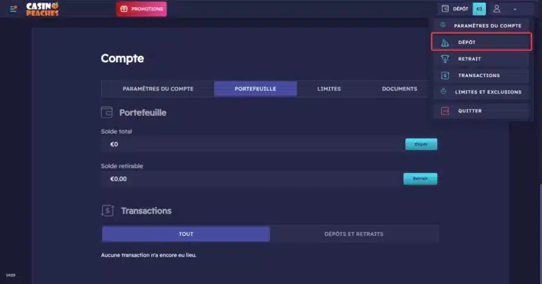 Avis Casino Peaches : bonus sans dépôt et retraits 18 Déposer de l'argent sur Casino Peaches
