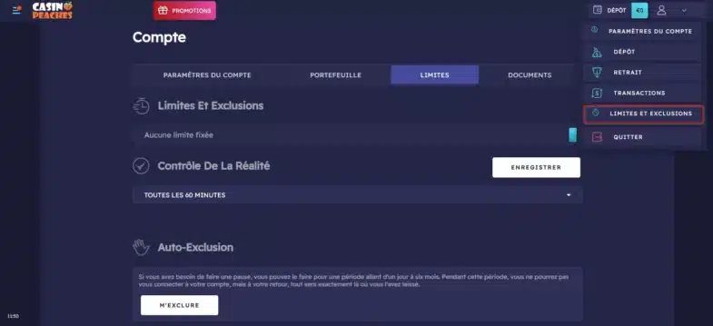 Avis Casino Peaches : bonus sans dépôt et retraits 24 Outils de jeu responsable sur Casino Peaches