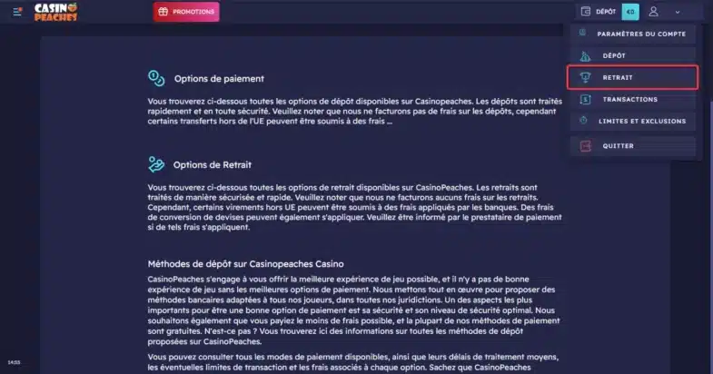 Avis Casino Peaches : bonus sans dépôt et retraits 20 Retirer de l'argent sur Casino Peaches